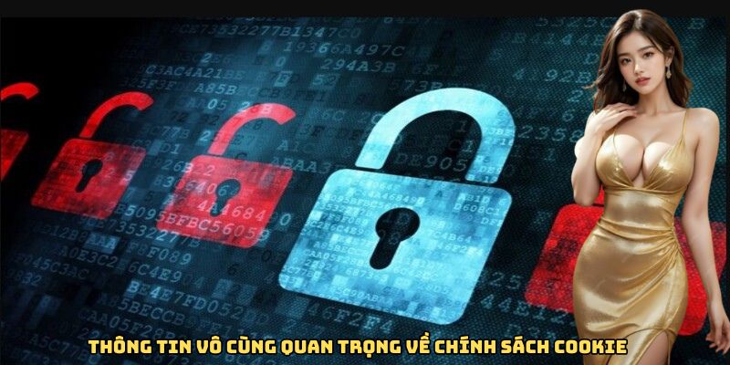 Thông tin vô cùng quan trọng về chính sách Cookie