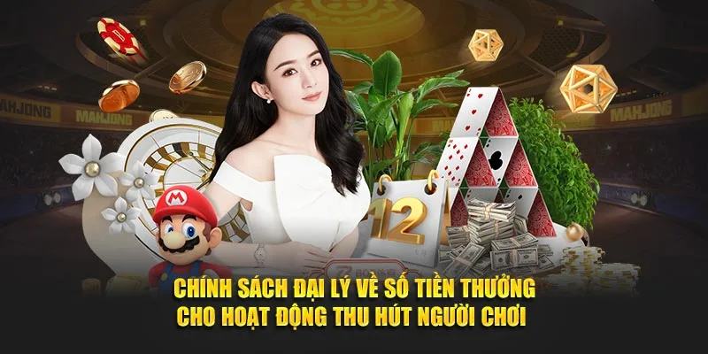 Vài nét sơ qua về đại lý tại OKKING