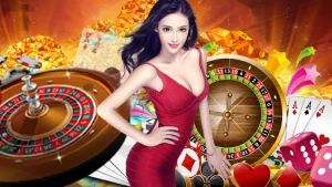 Đại lý OKKING
