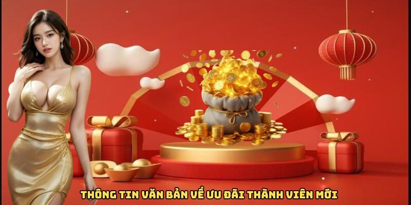 Thông tin căn bản về ưu đãi CODE tân thủ