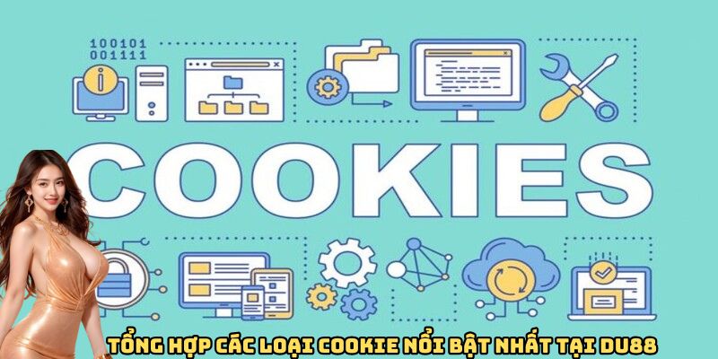 Tổng hợp các loại cookie nổi bật nhất tại OKKING